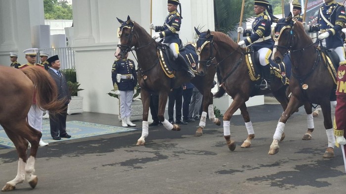 Prabowo Subianto sambut hangat Presiden Peru Dina Boluarte di Istana Merdeka. Simak momen penting pertemuan diplomatik kedua negara di Jakarta
