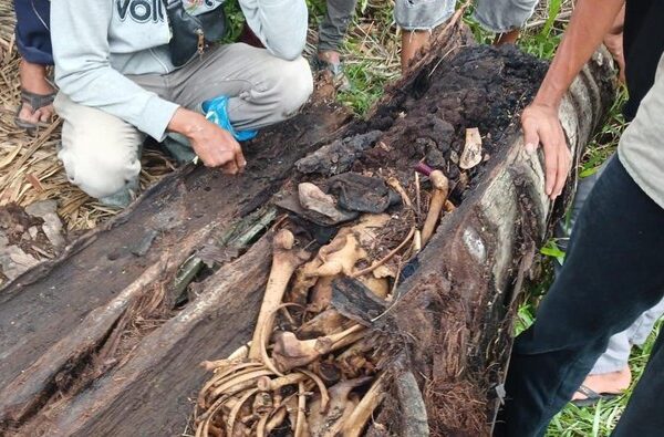 Misteri Kerangka Manusia diDalam Pohon Aren di Sergai Misteri Kerangka Manusia diDalam Pohon Aren di Sergai