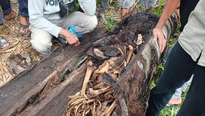 Misteri Kerangka Manusia diDalam Pohon Aren di Sergai